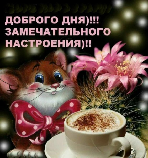 Доброго дня несмотря на погоду