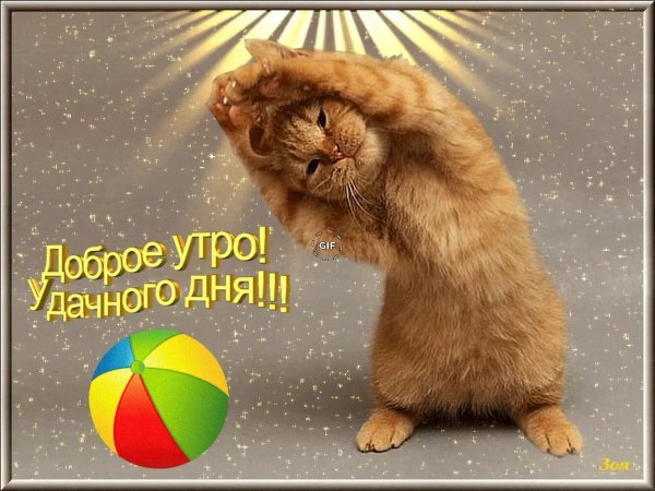 Вот и осень