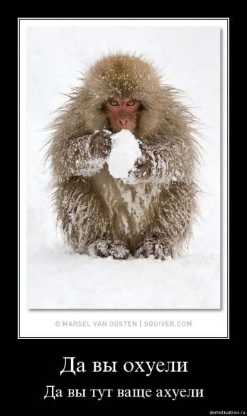 Вот такое Хреновое лето