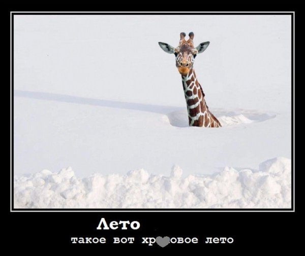 Про Холодное лето прикольные