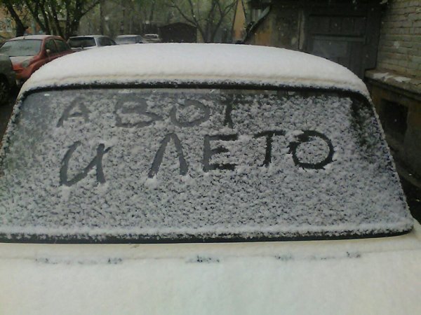 Приколы про лето