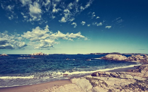 Заставка на рабочий стол лето 2022