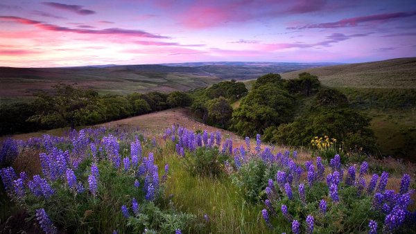 Коврик для мыши Buro bu-m10012