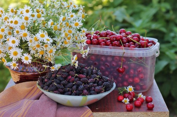 Июньские ягоды