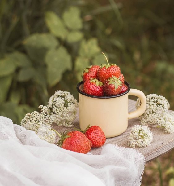 Кучка лесных ягод