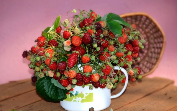 Лето ягоды цветы