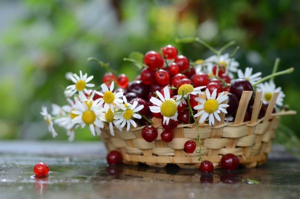 Лето клубника