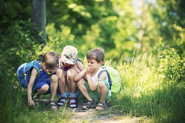 Фотосессия мальчика на природе