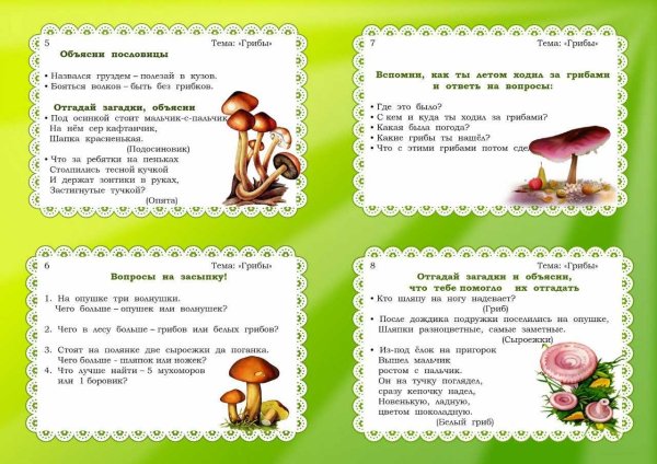Лексическая тема грибы в средней группе
