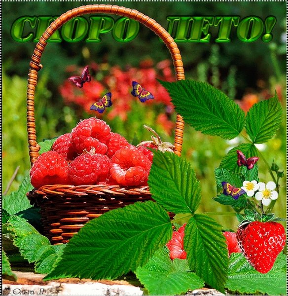 Летние открытки