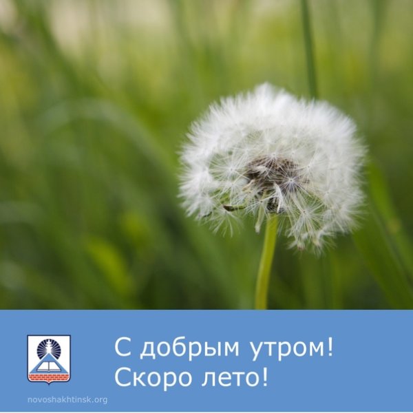 С добрым утром 21