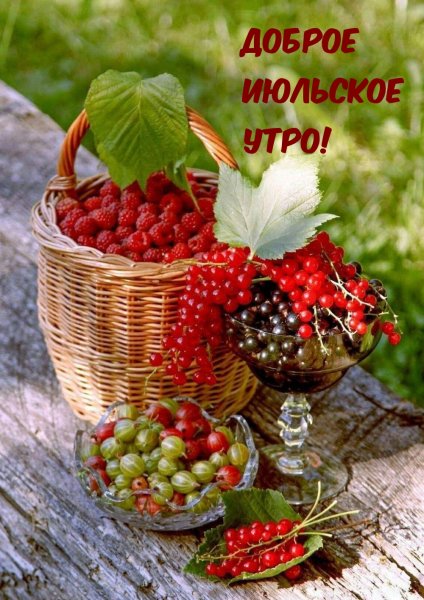 Прекрасного летнего денька