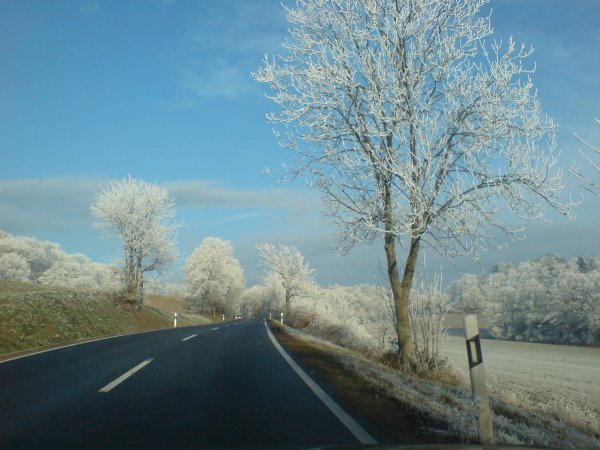 Зимняя дорога