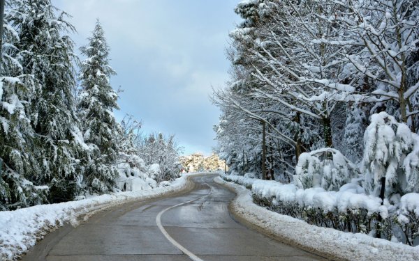 Дорога зимой