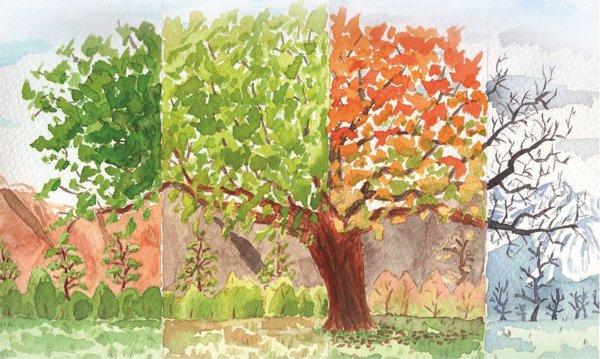 Рисунок на тему лето карандашом