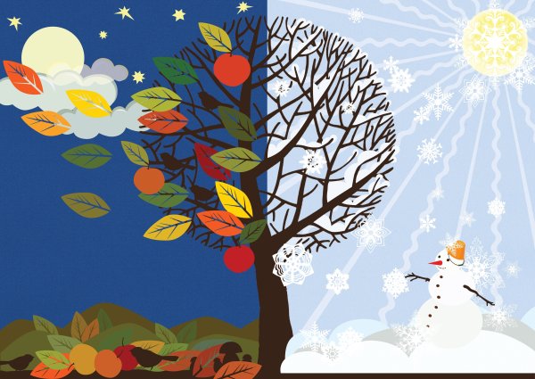 Зимний пейзаж карандашом для детей