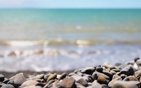 Море в розовых тонах