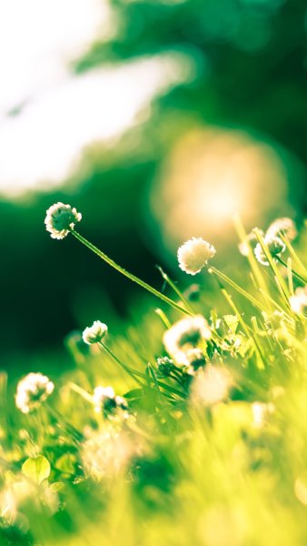 Рассвет на море