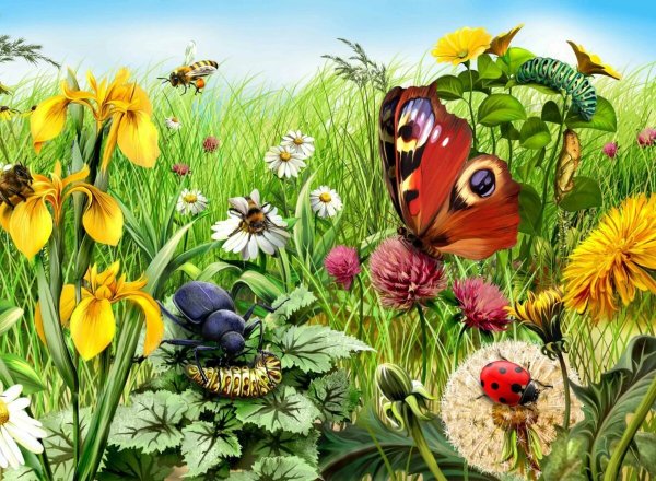 Природа и животные