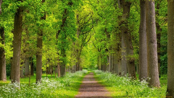 Красивая панорама природы