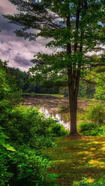 Картинки на рабочий стол природа