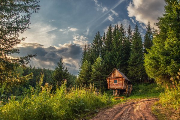 Лесная изба в лесу Марий Эл