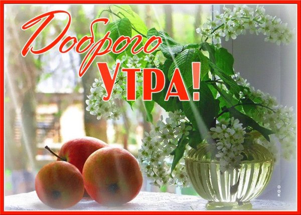 Доброе утро пятницы
