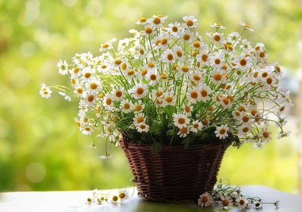 Доброе утро пятницы картинки