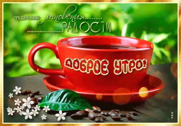 С добрым летним утром
