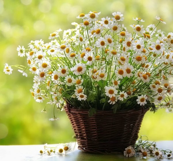 Солнечных выходных и отличного настроения