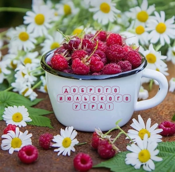 Хорошего летнего дня и отличного настроения