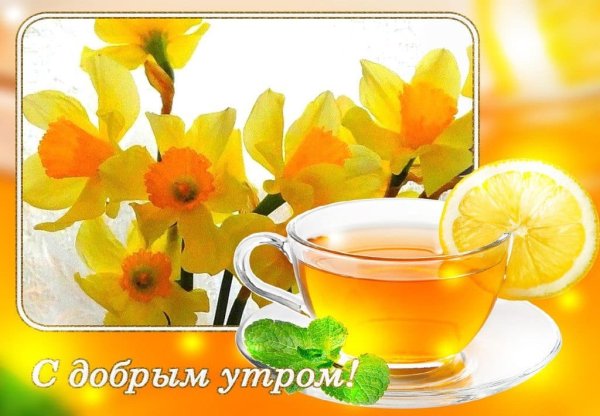 Доброе Весеннее утро пятни