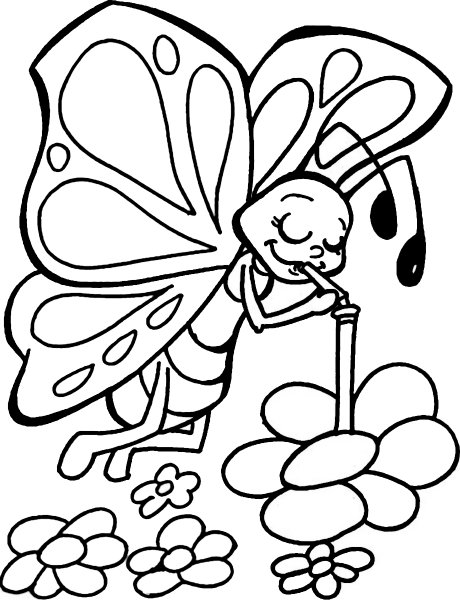Раскраски для девочек бабочки