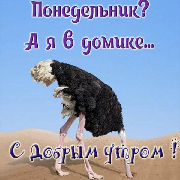С добрым утром понедельника