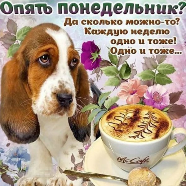 Открытки с добрым утром прикольные