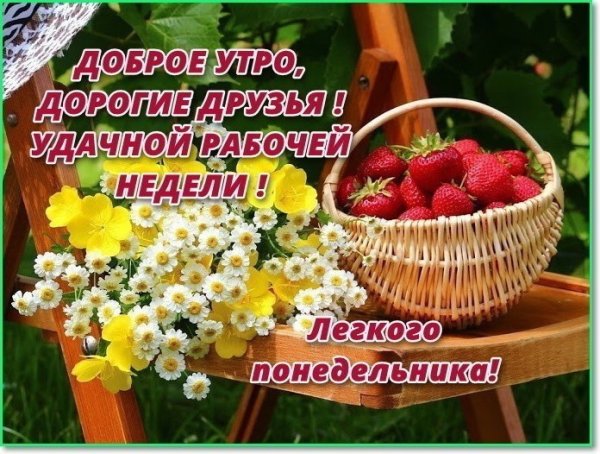 Поздравление с понедельником