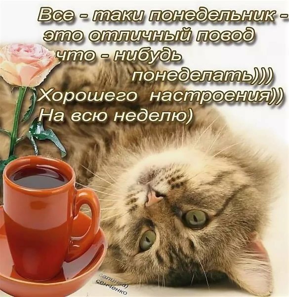 Красивое поздравление с понедельником