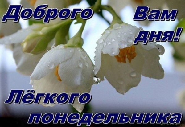 Пожелания мч с добрым утром понедельника