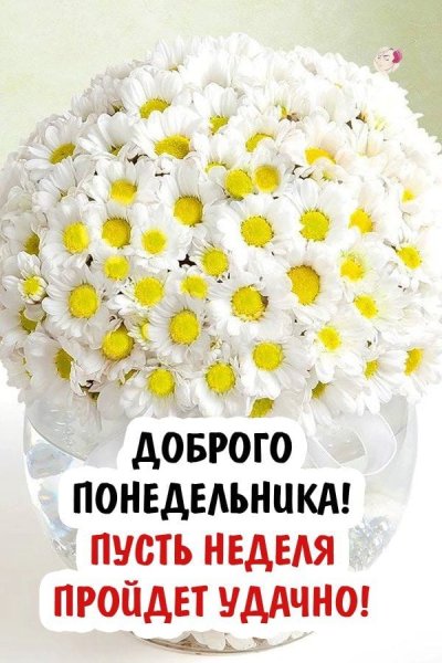 С добрым понедельничным утром