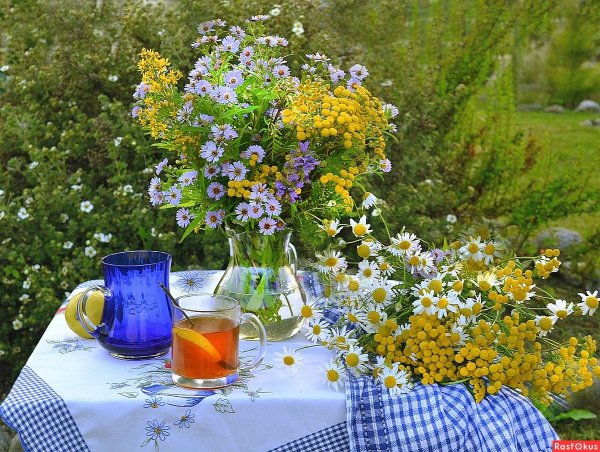 Доброе летнее утро на даче