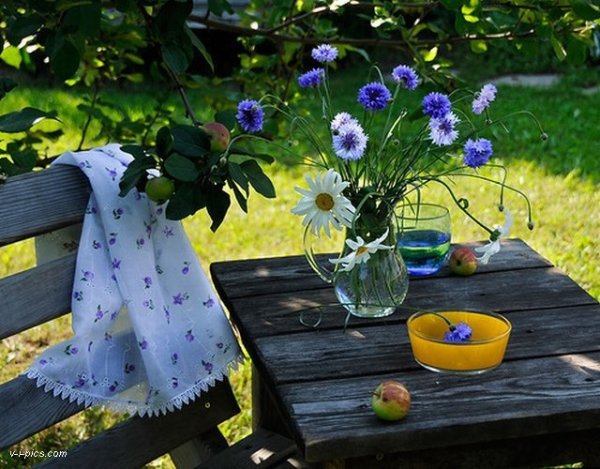 Летнее утро на даче