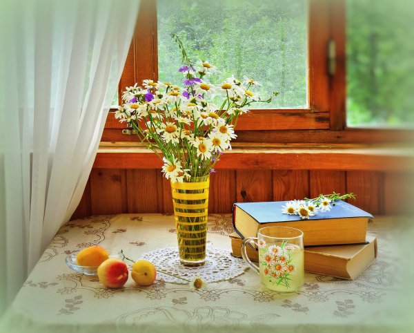 Доброе летнее утро на даче