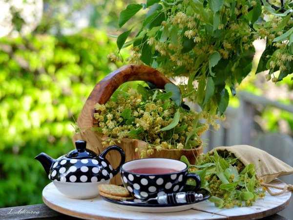 Цветы в лейке