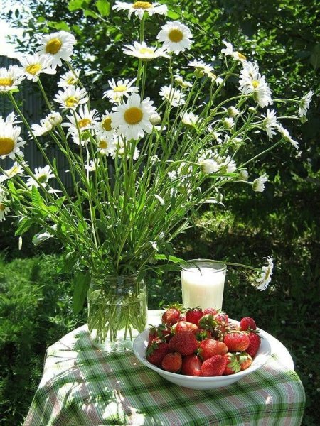 Полевые цветы на окне в деревне