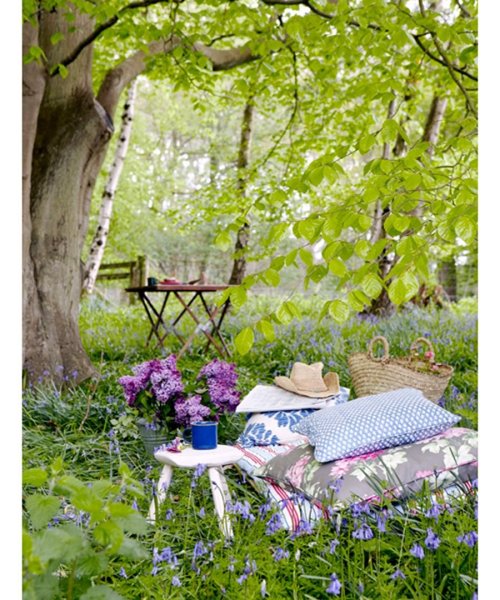 С добрым утром на даче