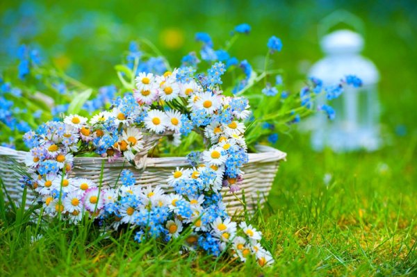 Деревянный шезлонг на фоне моря