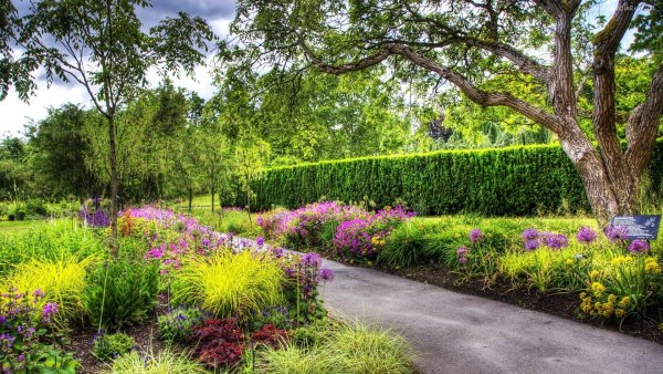 Ботанический сад Санкт-Петербург парк