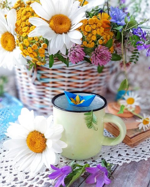 Доброго летнего утра и хорошего дня