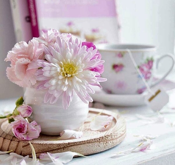 Цветы утро нежность