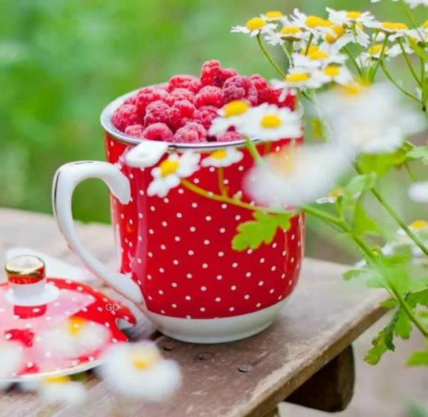 С добрым утром с цветами и пожеланиями